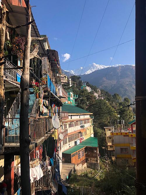 McLeod Ganj, haut Dharamsala (Himachal Pradesh), 2022. Crédit : Françoise Robin